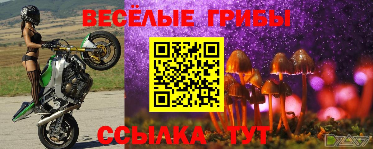 Дивногорск  Псилоцибиновые грибы ЛСД  Вход с VPN 